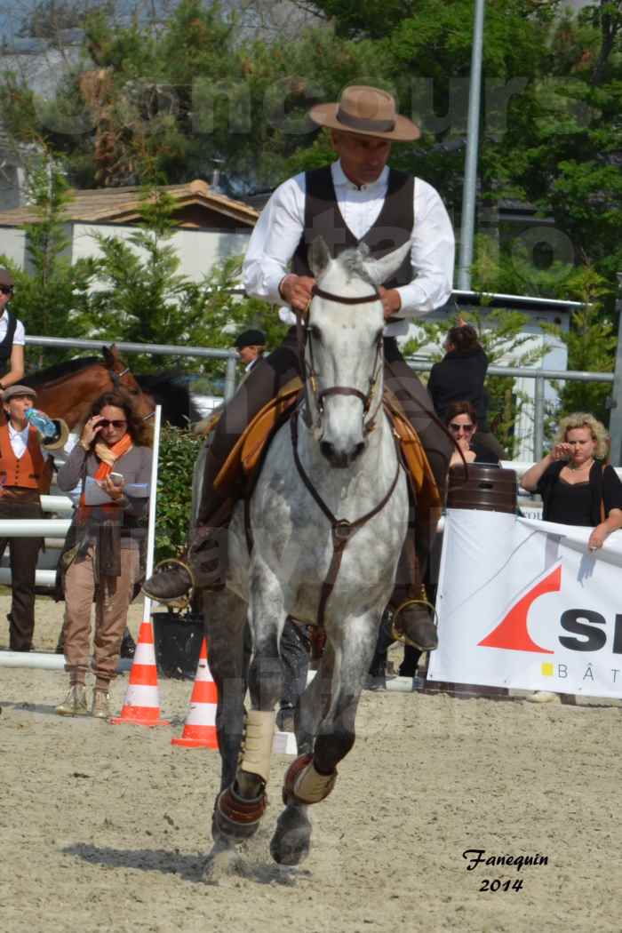 Salon Equitaine de Bordeaux en 2014 - concours Equitation de travail - Épreuve de Maniabilité chronométré - P - 17