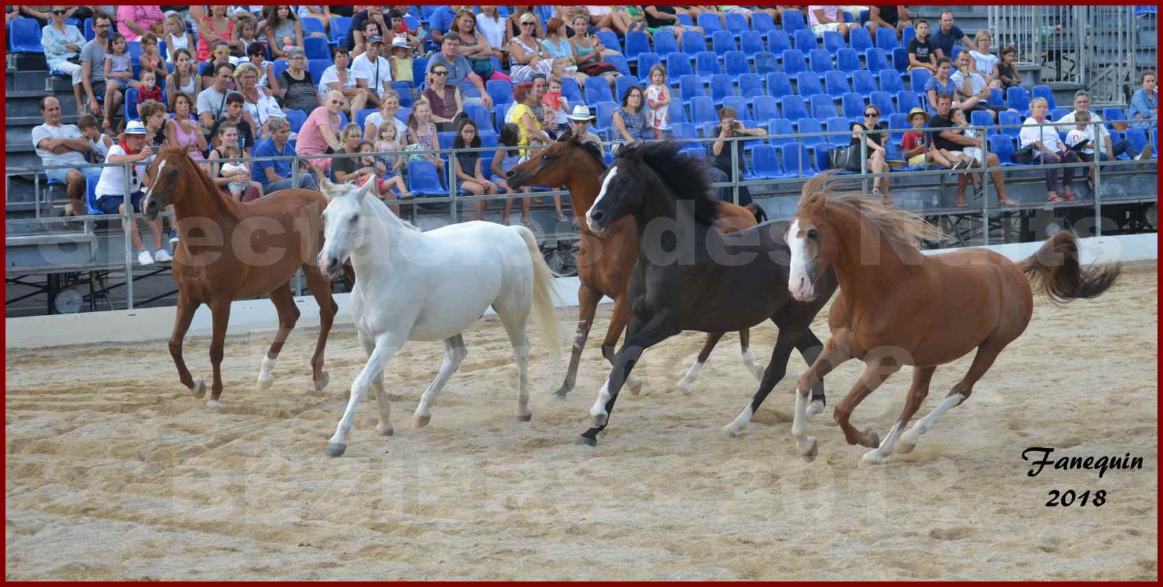 "Nuits Équestres"  de la Féria de BÉZIERS 2018 - Spectacle en journée - Sylvie WILLMS & ses chevaux en liberté - 04