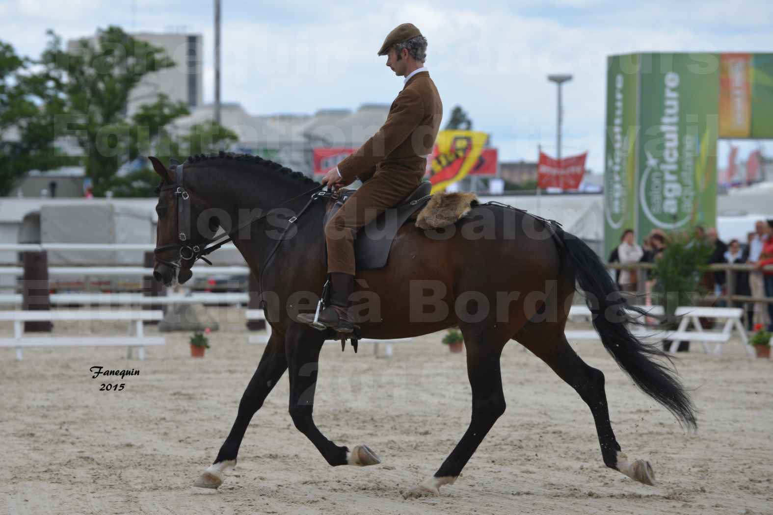 Salon Equitaine de Bordeaux 2015 - Concours d'Equitation de Travail avec chevaux Ibériques - J - 6