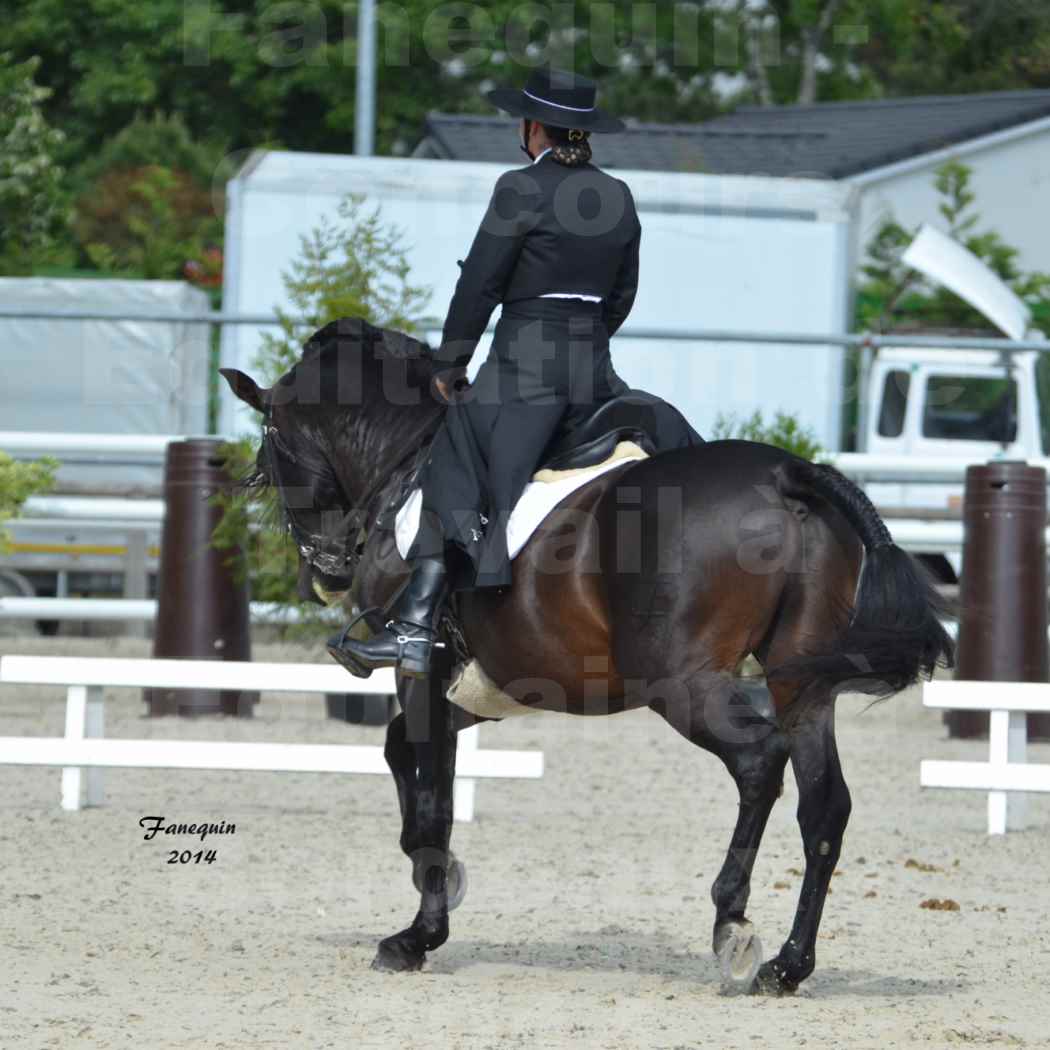 Salon Equitaine de Bordeaux en 2014 - concours Equitation de travail - Épreuve de Dressage - 04