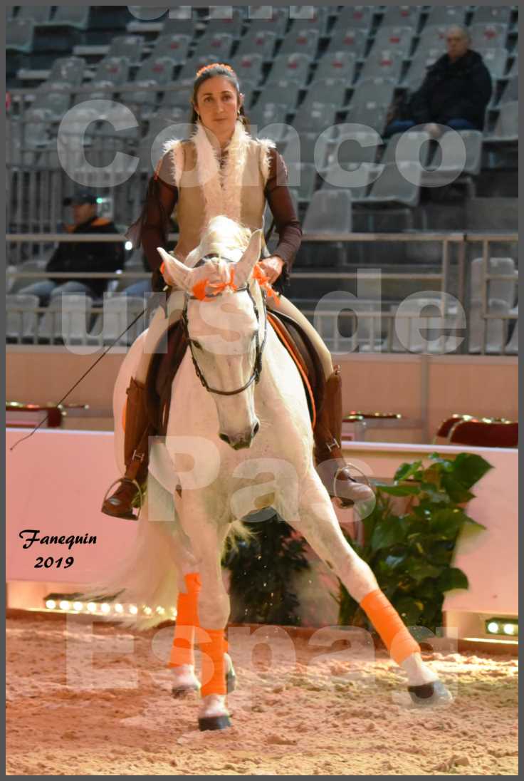 Cheval Passion 2019 - Concours de Pas Espagnol - Étalon "ZIDANE" - 06