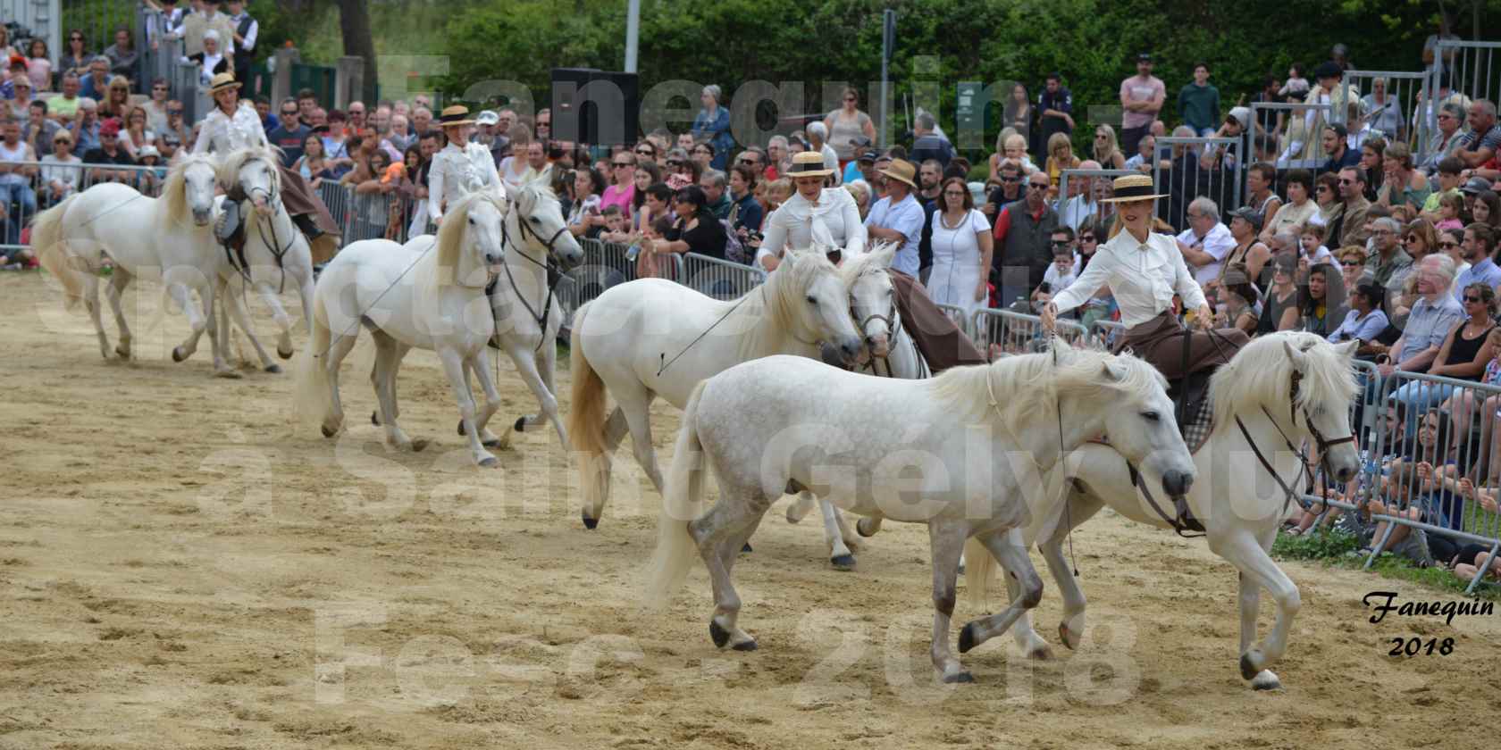 Spectacle Équestre le 3 juin 2018 à Saint Gély du Fesc - Amazones de Benoît SOUMILLE - 06