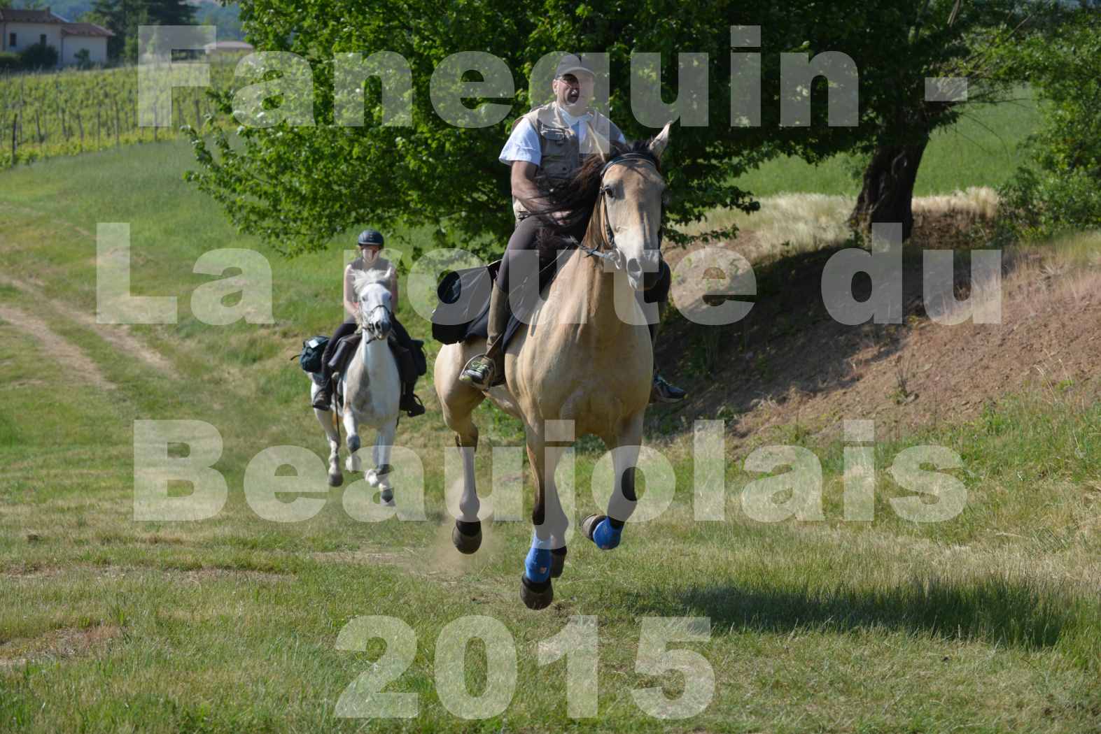 La Route Du Beaujolais 2015 - dimanche 24 mai 2015 - parcours en matinée - 62