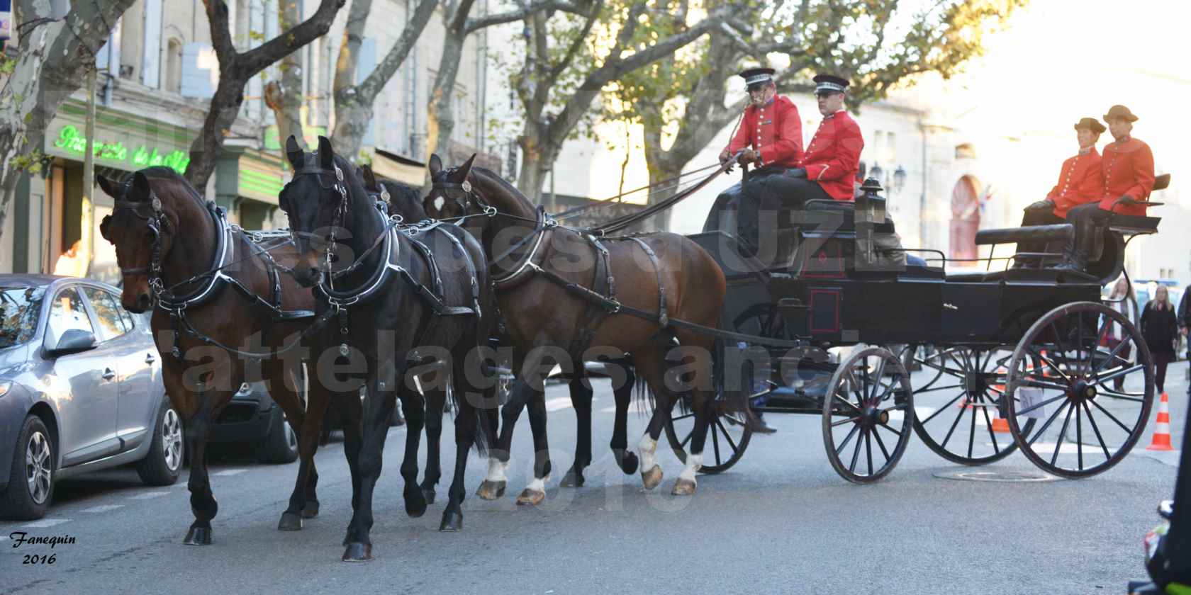 Défilé d'attelages anciens dans les rues d'UZES en octobre 2016 - Team Pur Sang ( 4 chevaux) - 3