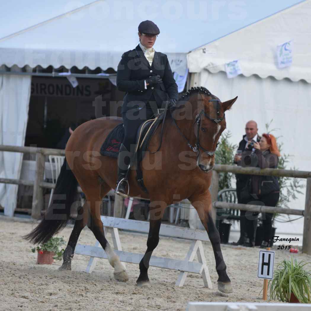 Salon Equitaine de Bordeaux 2015 - Concours d'Equitation de Travail avec chevaux Ibériques - E - 4