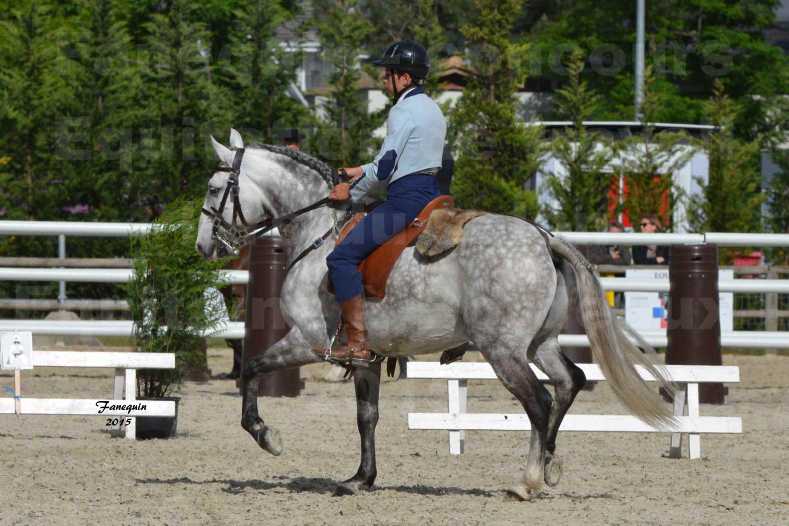 Salon Equitaine de Bordeaux 2015 - Concours d'Equitation de Travail avec chevaux Ibériques - S - 1