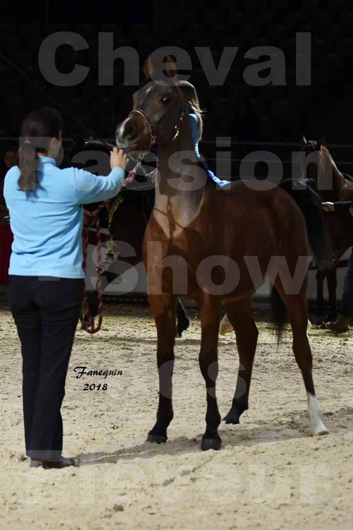 Cheval passion 2018 - Show des éleveurs - Chevaux ARABES - Notre Sélection - 28