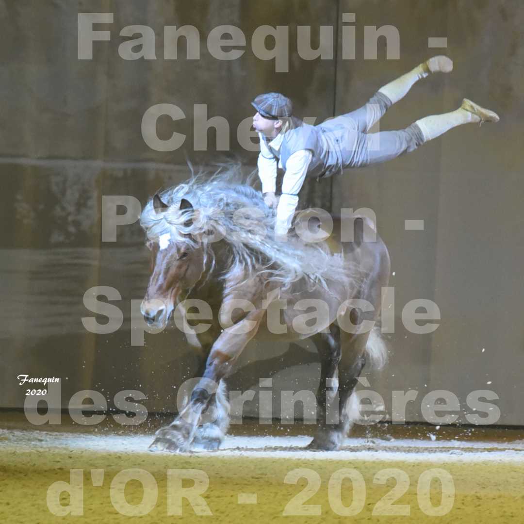 Cheval Passion 2020 - Les Crinières d'OR - Samuel HAFRAD & Jérôme SEFER - 12