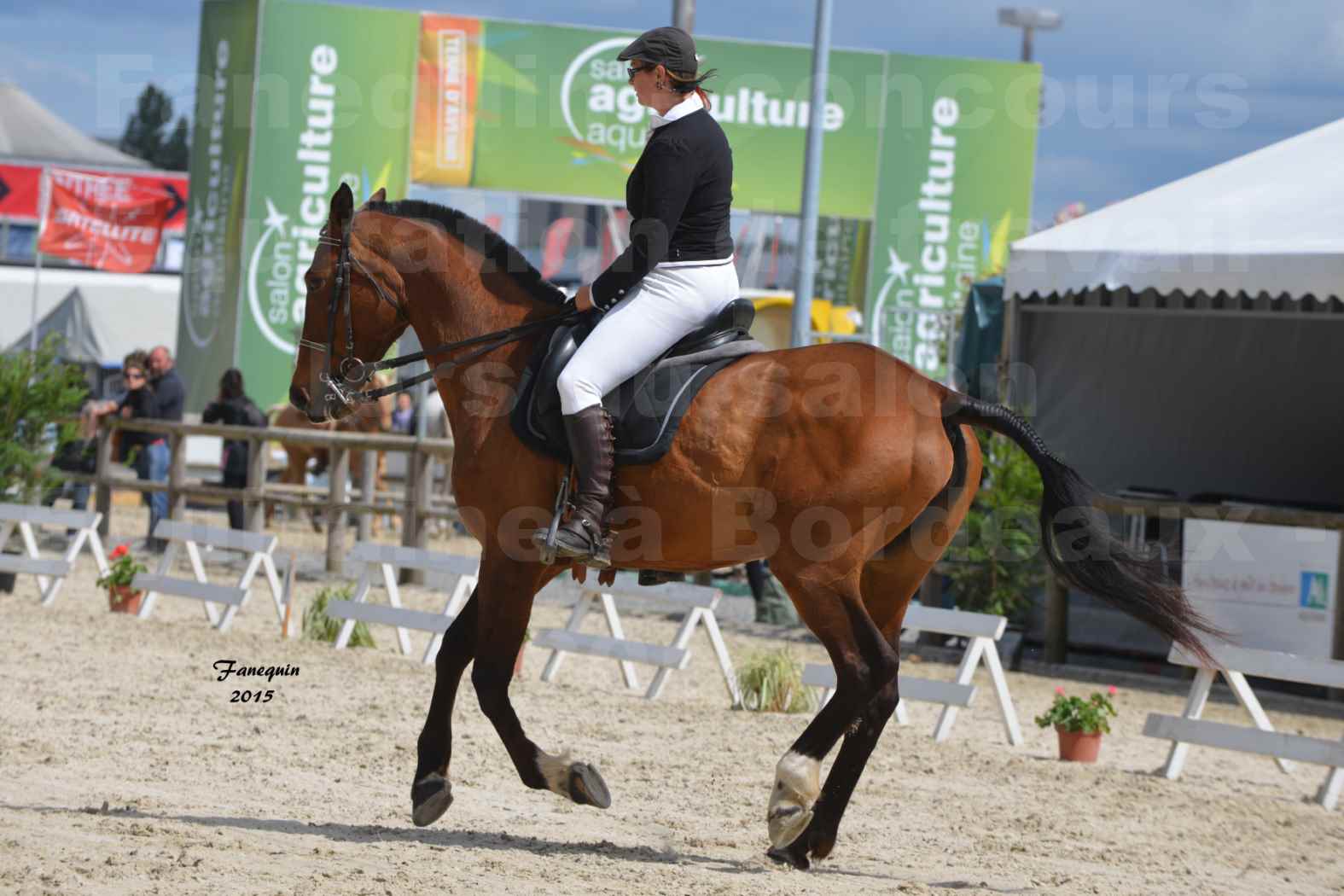 Salon Equitaine de Bordeaux 2015 - Concours d'Equitation de Travail avec chevaux Ibériques - F - 3