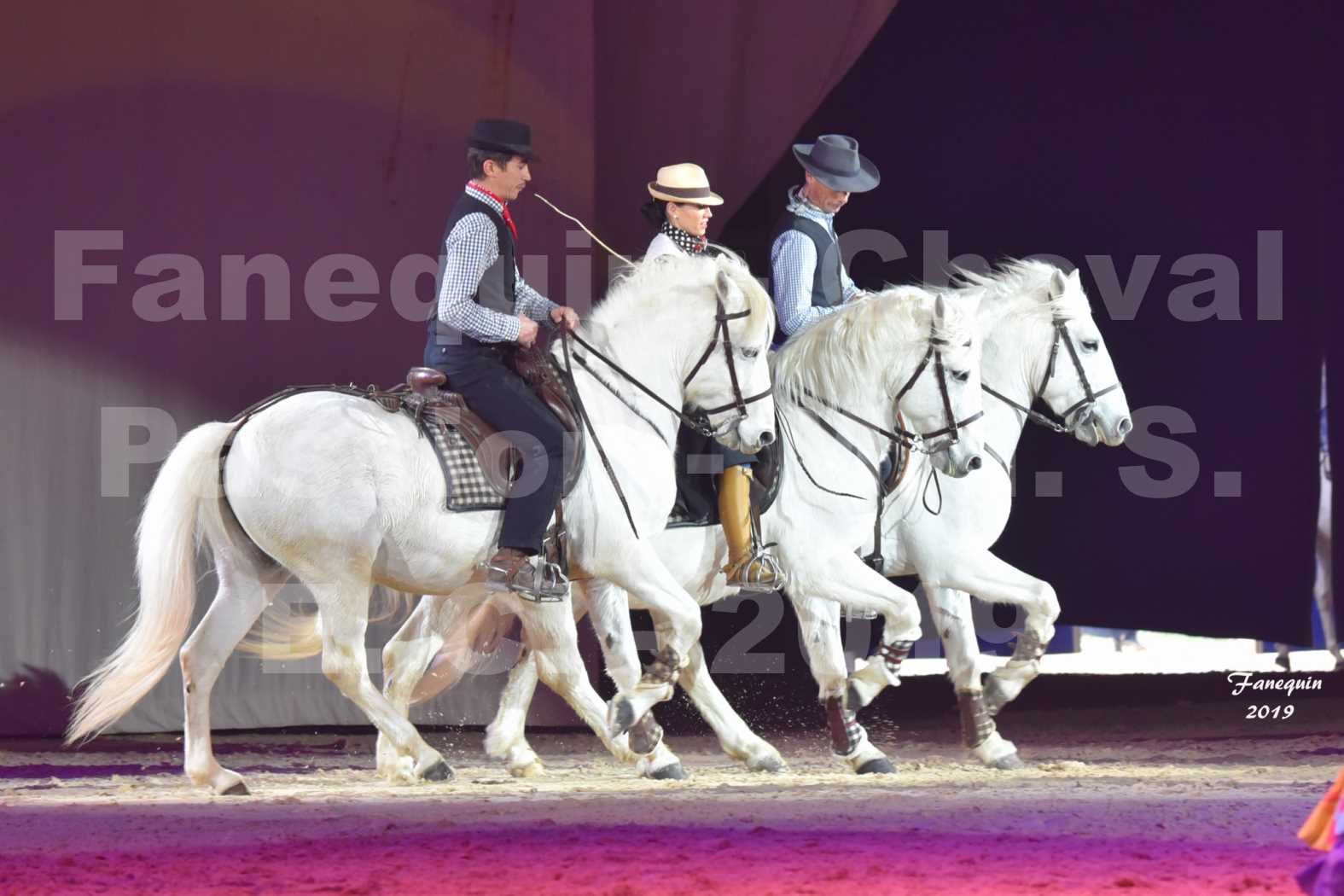 Cheval Passion 2019 - M. I. S. E. C. - Hervé MAUREL - 4