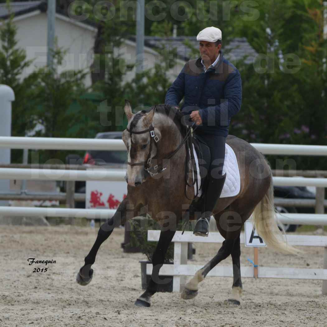 Salon Equitaine de Bordeaux 2015 - Concours d'Equitation de Travail avec chevaux Ibériques - L - 12