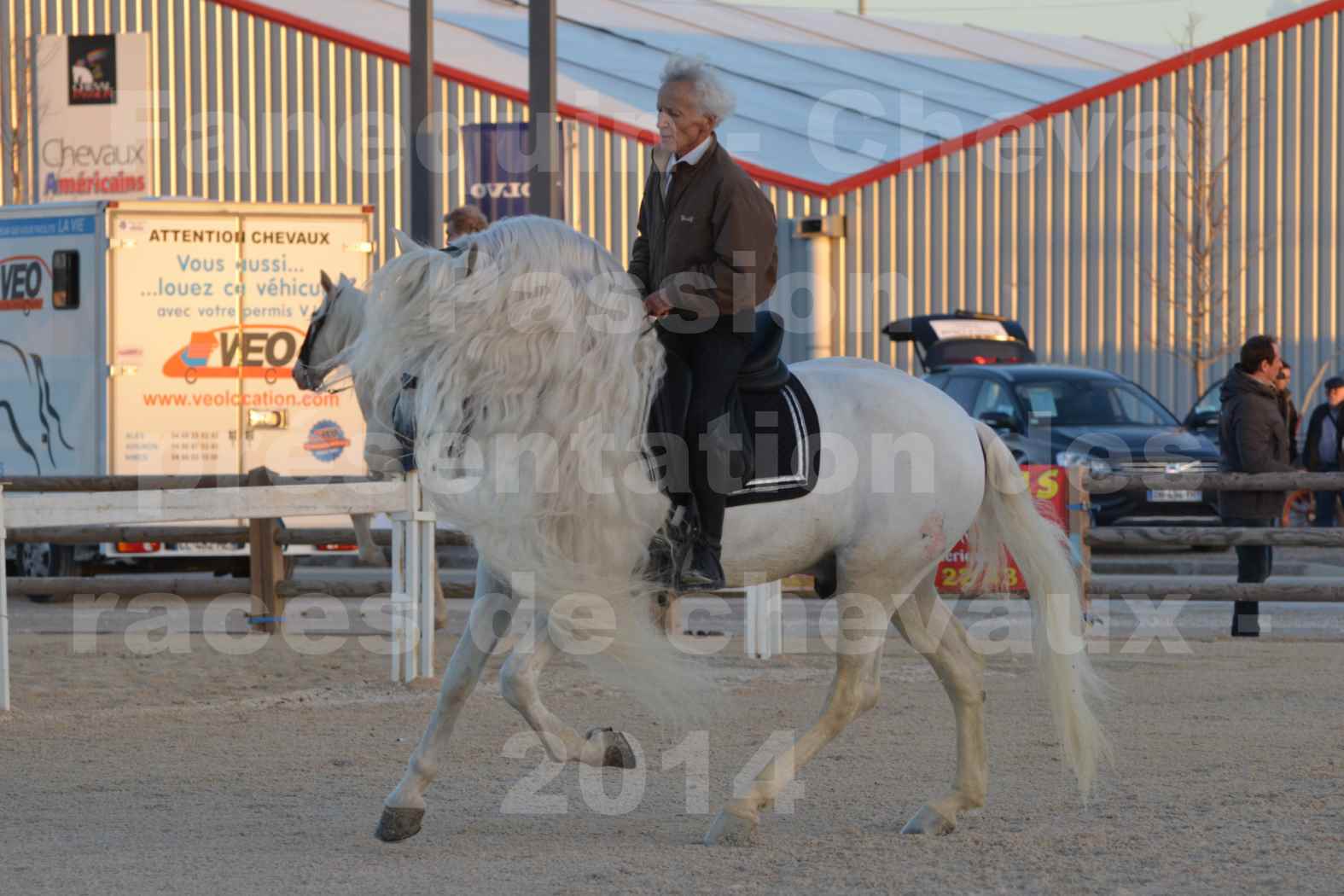 Cheval Passion 2014 - Etalon "GALAN"  blanc écurie Alain LAUZIER - Notre Sélection - 20