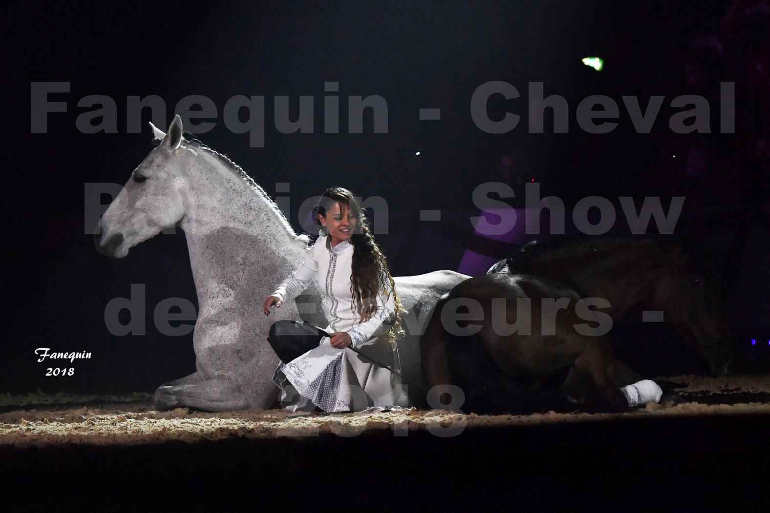 Cheval Passion 2018 - Spectacle Les Crinières d'OR 2018 - Couple & Chevaux en liberté - 4