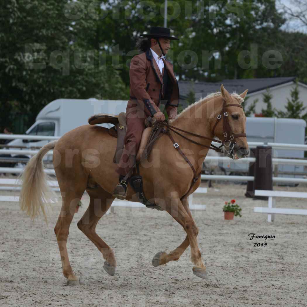 Salon Equitaine de Bordeaux 2015 - Concours d'Equitation de Travail avec chevaux Ibériques - T - 5