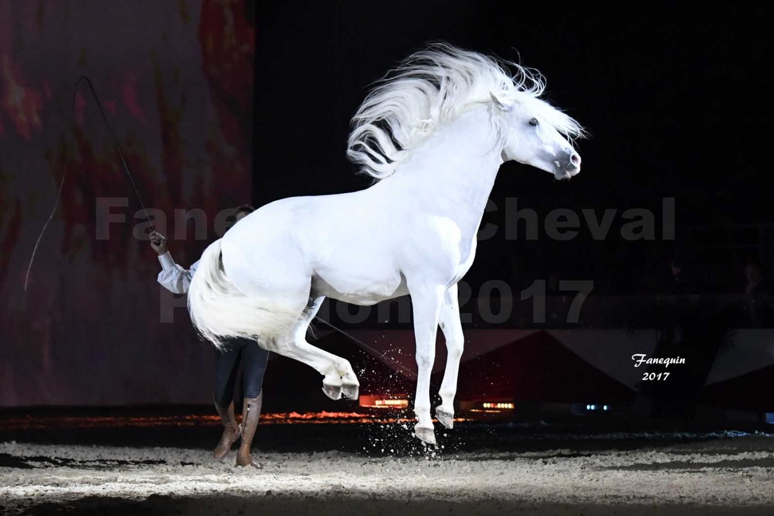 Cheval Passion 2017 - gala des Crinières d'OR - GARI ZOHER - 21