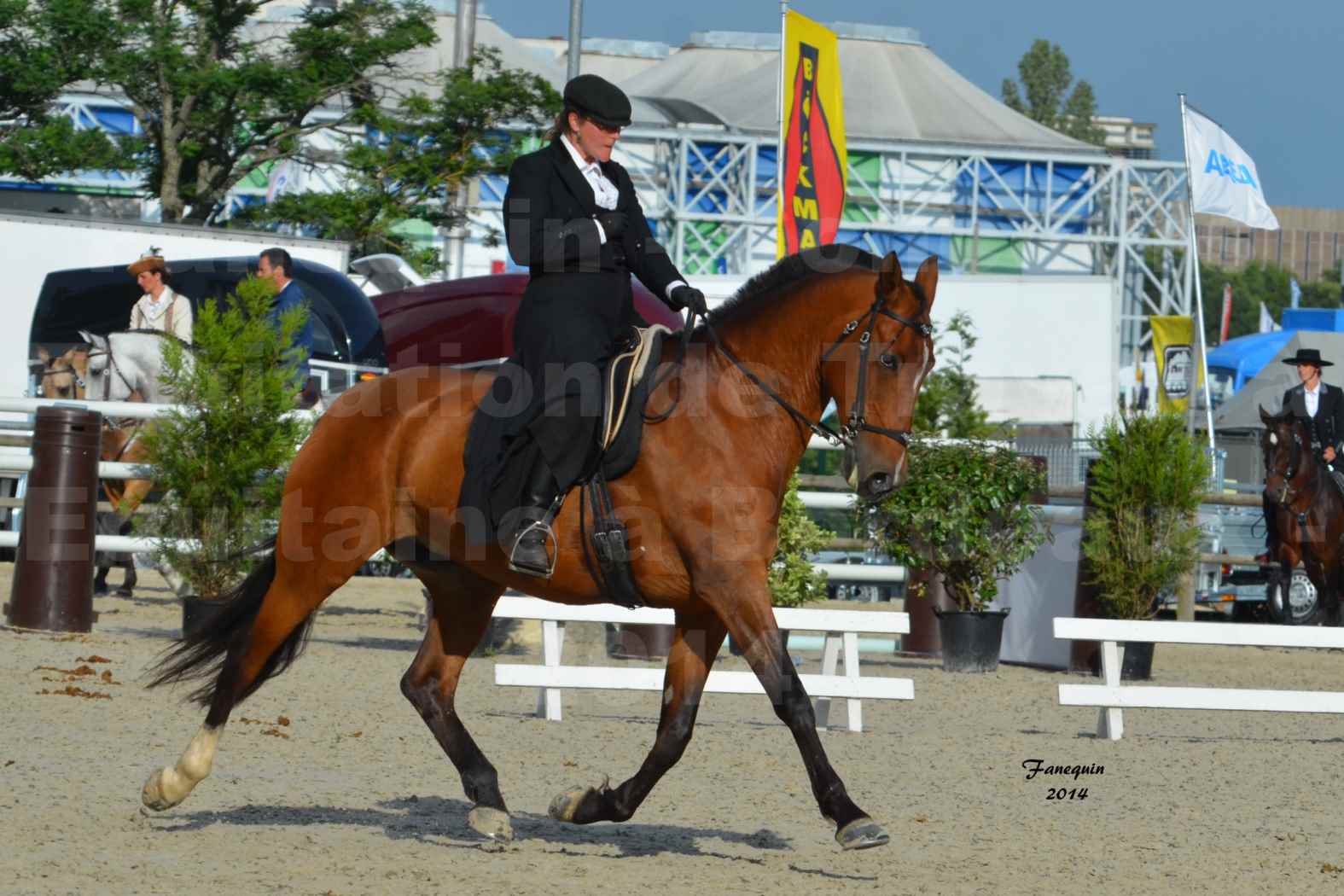 Salon Equitaine de Bordeaux en 2014 - concours Equitation de travail - Épreuve de Dressage - 09