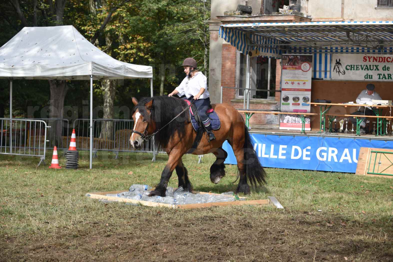Concours Label Cheval Loisir 2017 - Cheval monté - QUIQUINOU - 04