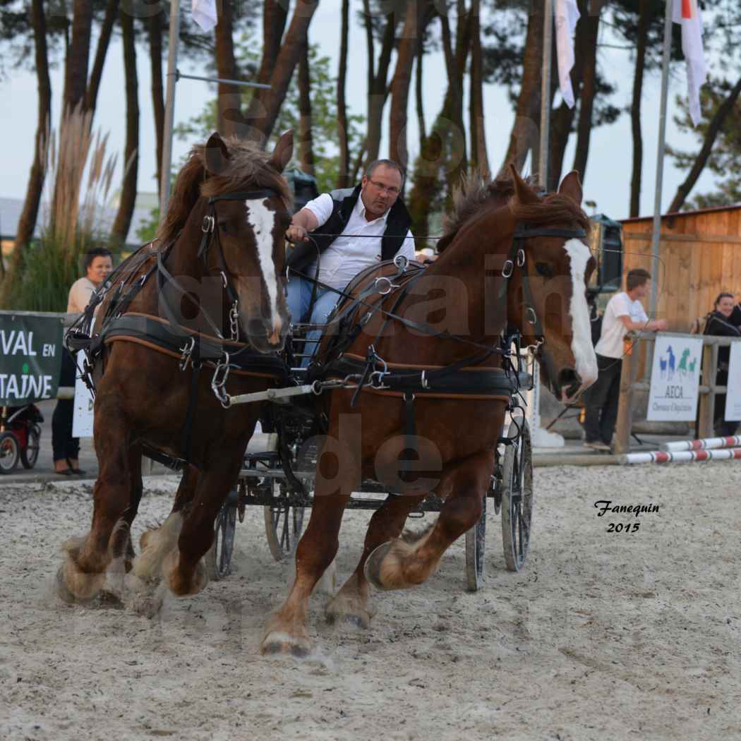 Salon Equitaine de Bordeaux 2015 - Présentation attelage en paire chevaux de trait - 4