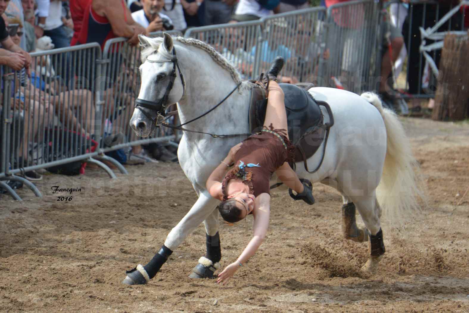 Spectacle équestre le 4 Septembre 2016 au Domaine de GAILLAC - voltige équestre avec la famille HASTALUEGO - 06