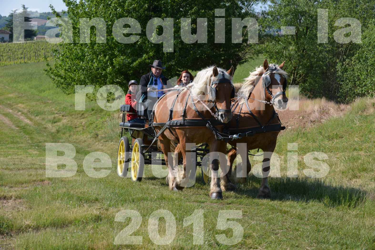 La Route Du Beaujolais 2015 - dimanche 24 mai 2015 - parcours en matinée - 03