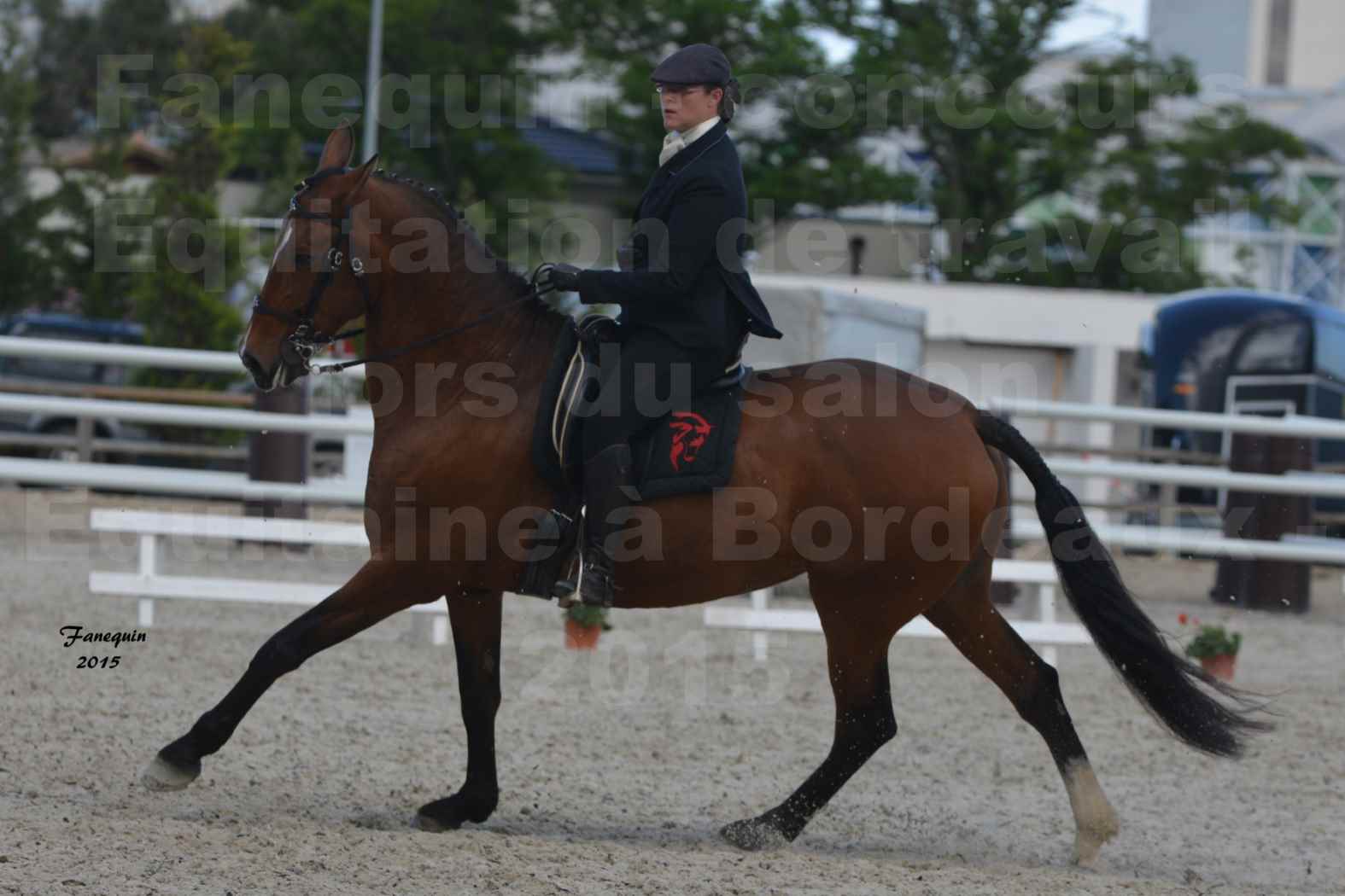 Salon Equitaine de Bordeaux 2015 - Concours d'Equitation de Travail avec chevaux Ibériques - E - 8