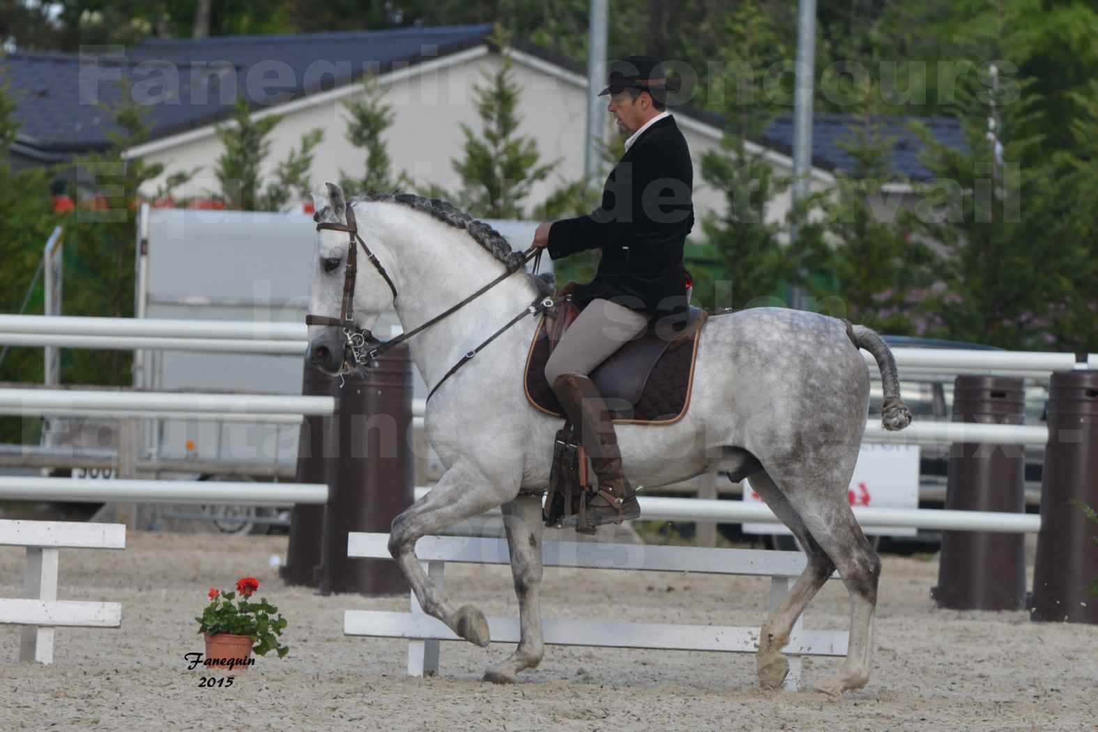 Salon Equitaine de Bordeaux 2015 - Concours d'Equitation de Travail avec chevaux Ibériques - N - 4