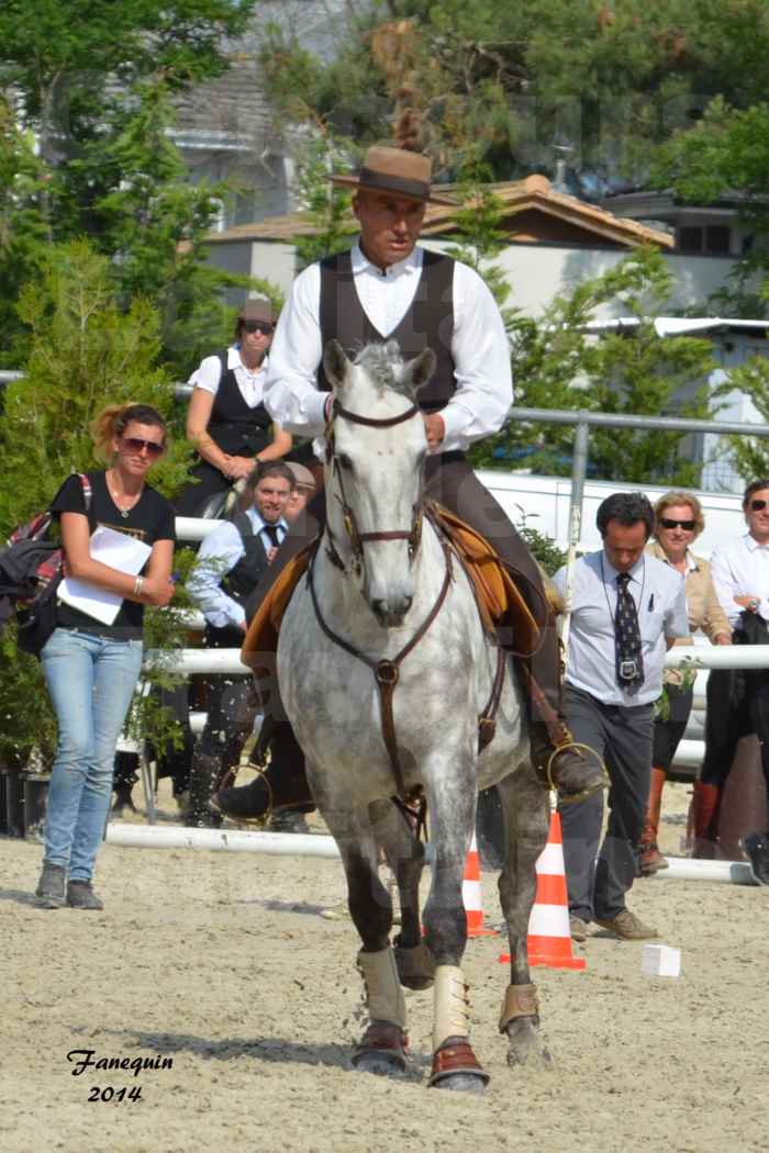 Salon Equitaine de Bordeaux en 2014 - concours Equitation de travail - Épreuve de Maniabilité chronométré - P - 16