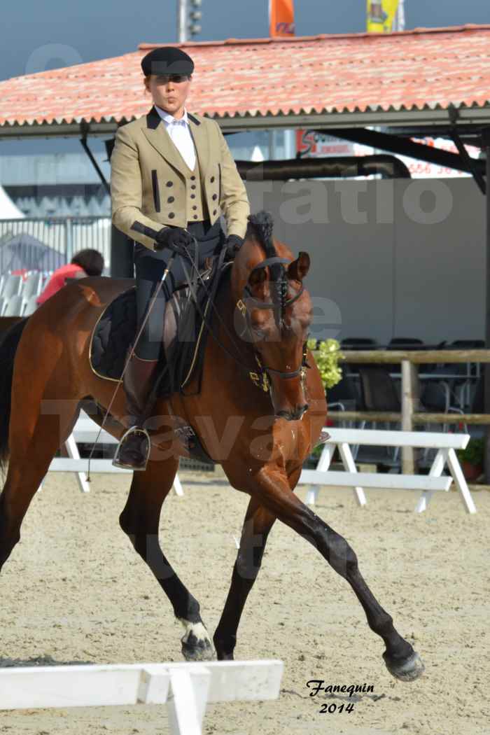 Salon Equitaine de Bordeaux en 2014 - concours Equitation de travail - Épreuve de Dressage - 12