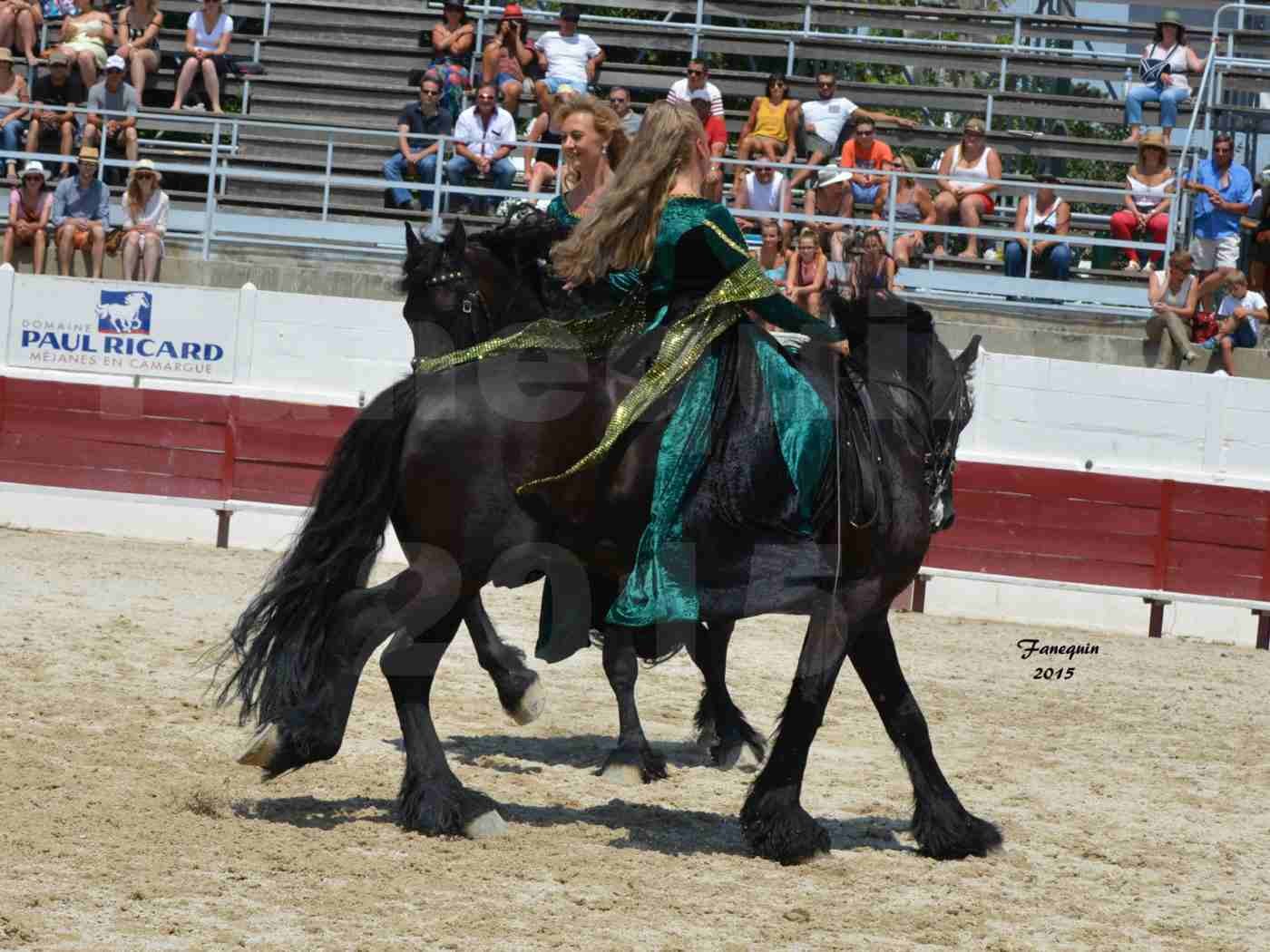 Féria du cheval à Méjanes en 2015 - Sylvie WILLMS - 07