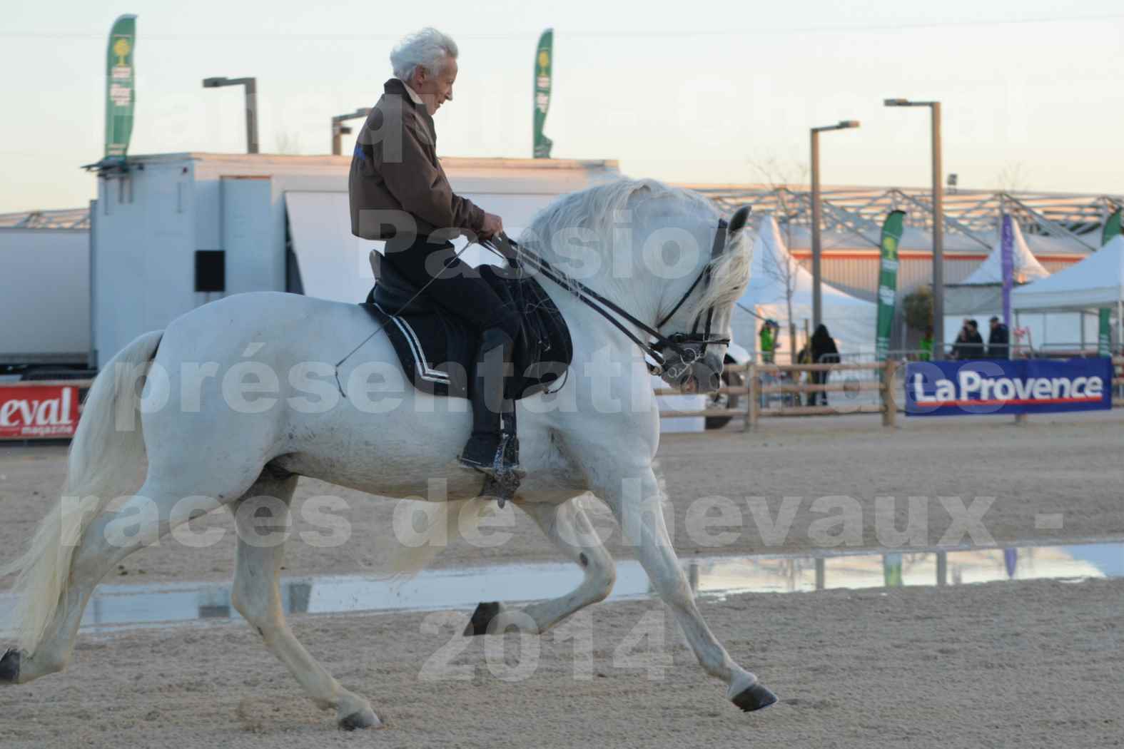 Cheval Passion 2014 - Etalon "GALAN"  blanc écurie Alain LAUZIER - Notre Sélection - 24