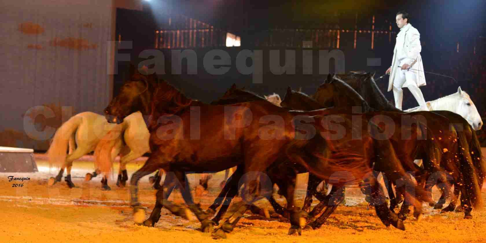 Cheval Passion 2016 - Spectacle les Crinières d'OR - LORENZO "Blanc" - représentation du 23 janvier 2016 - 30