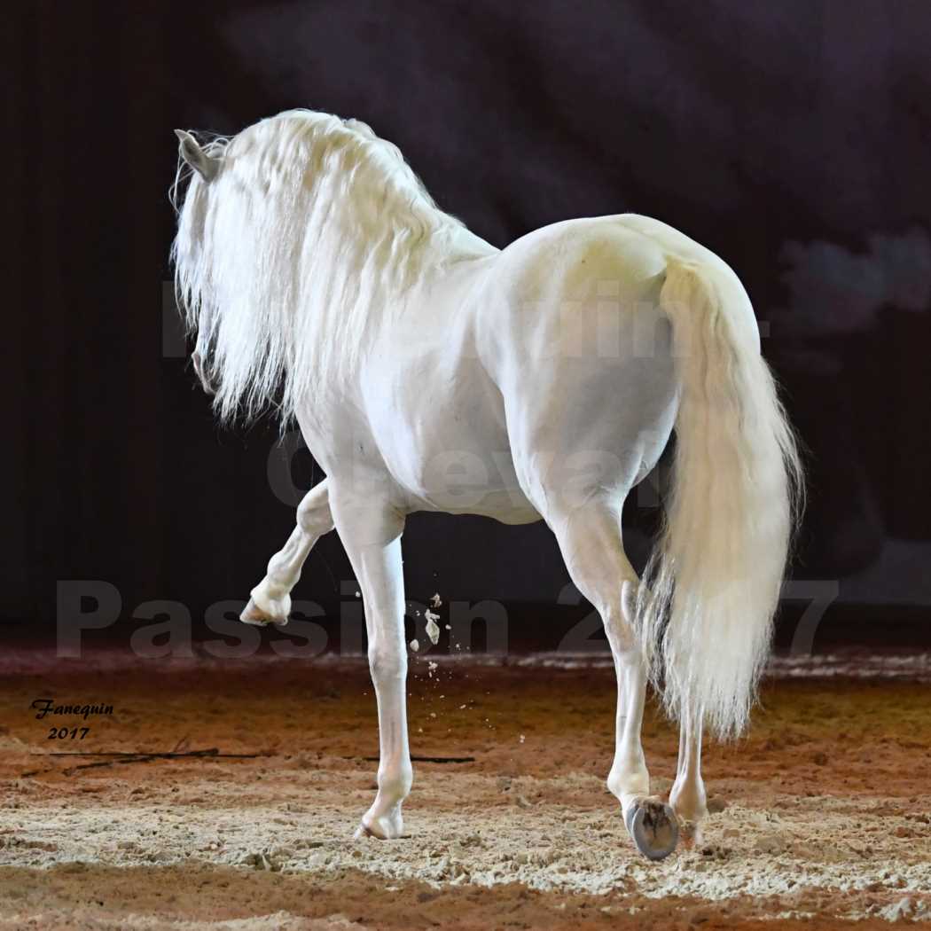 Cheval Passion 2017 - gala des Crinières d'OR - GARI ZOHER - 15