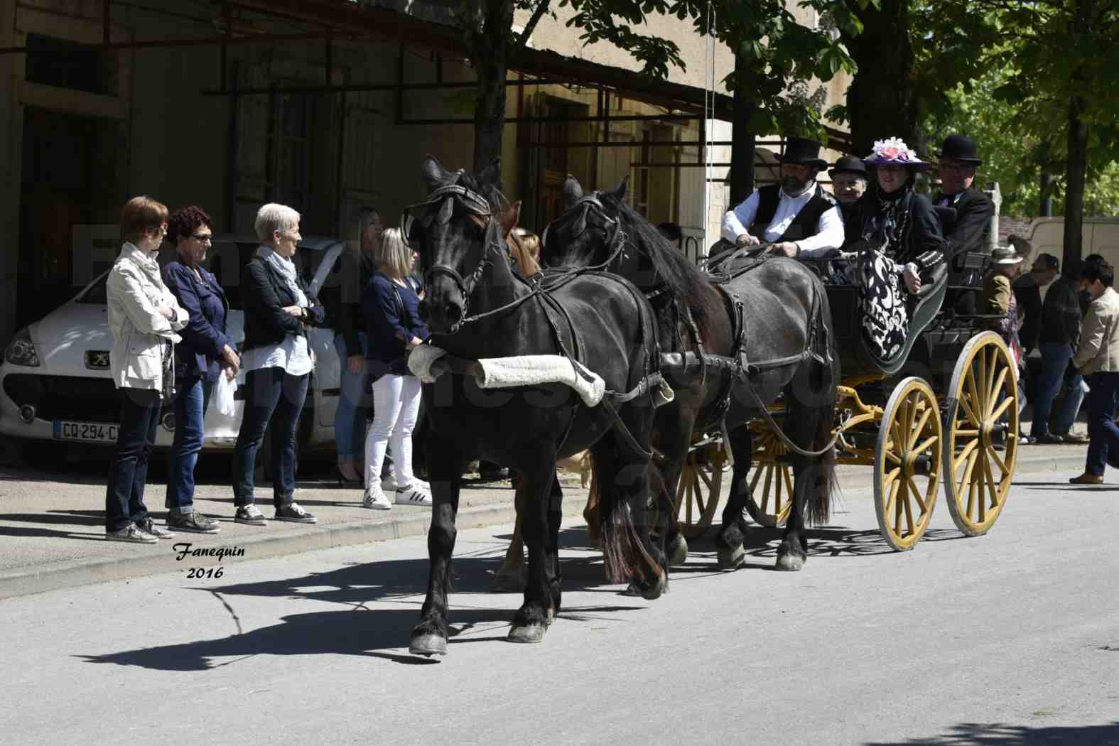 Défilé de calèches de 1900 dans les rues de Villeneuve d'Aveyron le 15 mai 2016 - Attelage en arbalète de 3 chevaux - calèche 4 roues - 5