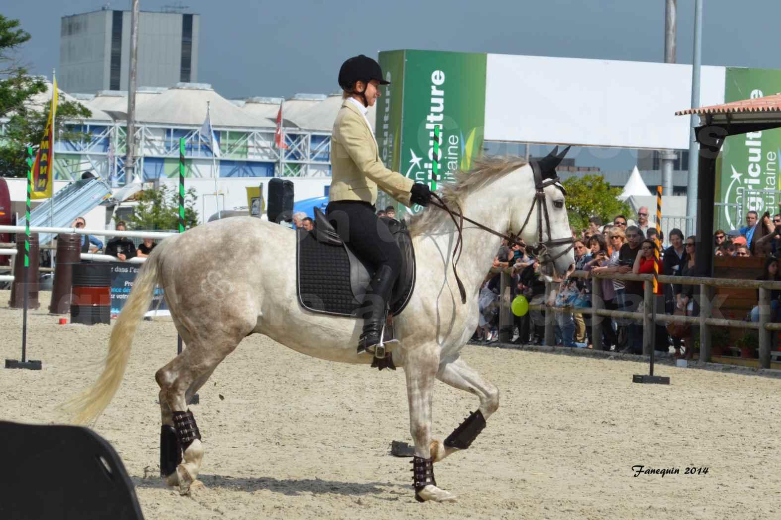 Salon Equitaine de Bordeaux en 2014 - concours Equitation de travail - Épreuve de Maniabilité chronométré - B - 03