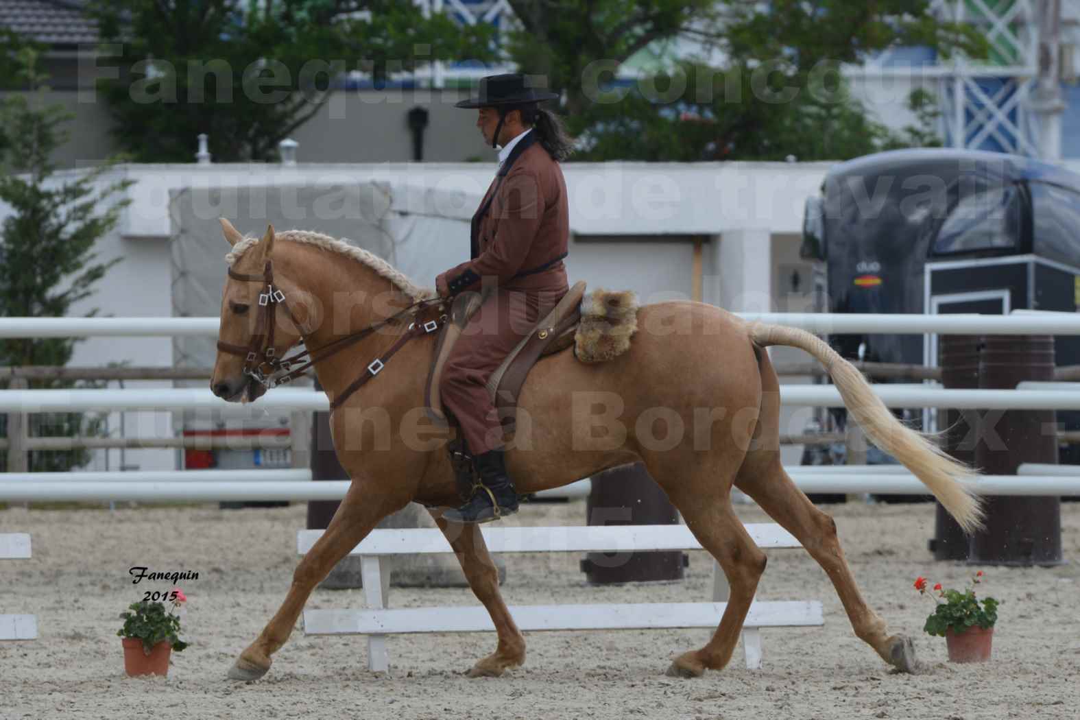 Salon Equitaine de Bordeaux 2015 - Concours d'Equitation de Travail avec chevaux Ibériques - T - 4