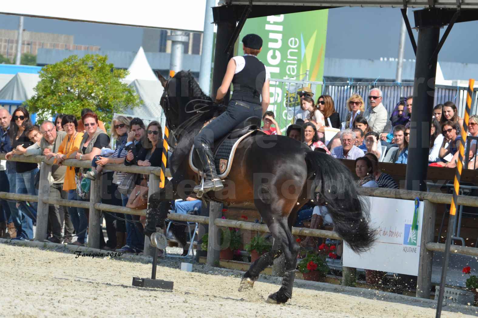 Salon Equitaine de Bordeaux en 2014 - concours Equitation de travail - Épreuve de Maniabilité chronométré - M - 04