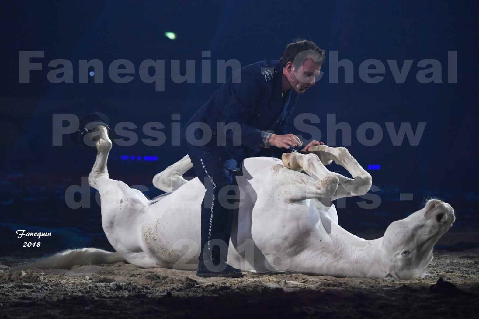 Cheval Passion 2018 - Spectacle les Crinières d'OR - Le FACTEUR 3 - 08