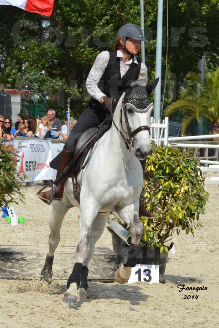 Salon Equitaine de Bordeaux en 2014 - concours Equitation de travail - Épreuve de Maniabilité chronométré - G - 9