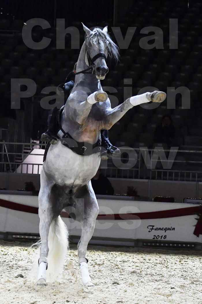 Cheval passion 2018 - Show des éleveurs - Chevaux LUSITANIEN - Institut Français des Arts Équestres - Notre Sélection - 84