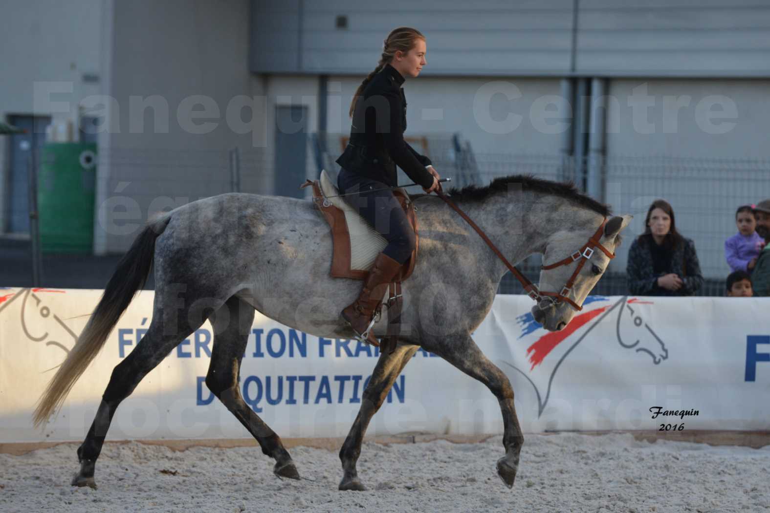 Centre équestre éphémère de la Foire de Montpellier 2016 - Mardi 11 Octobre 2016 - Spectacle Nocturne - 20