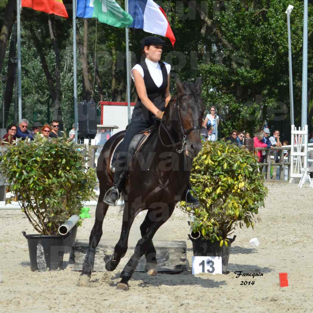 Salon Equitaine de Bordeaux en 2014 - concours Equitation de travail - Épreuve de Maniabilité chronométré - M - 19