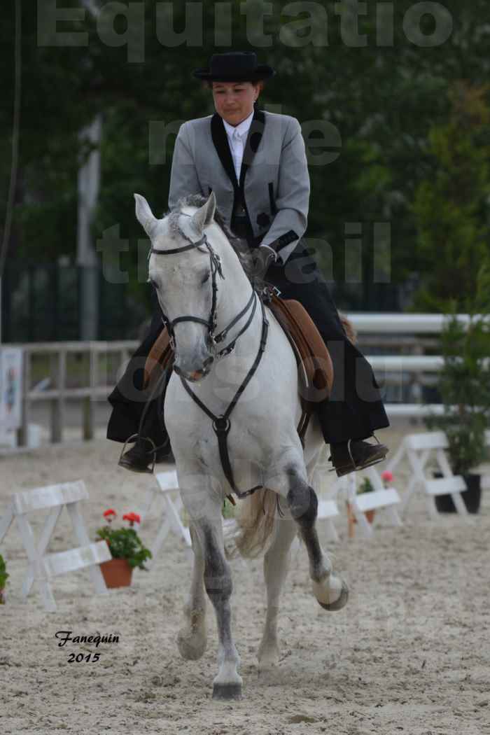 Salon Equitaine de Bordeaux 2015 - Concours d'Equitation de Travail avec chevaux Ibériques - V - 07