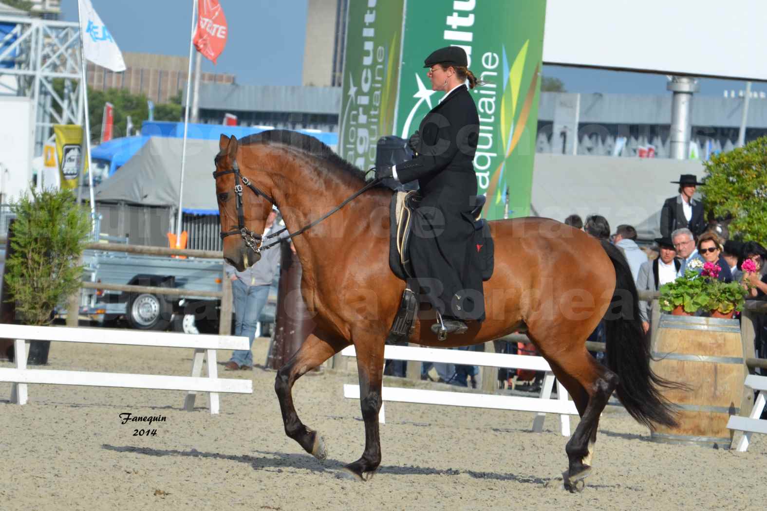 Salon Equitaine de Bordeaux en 2014 - concours Equitation de travail - Épreuve de Dressage - 04
