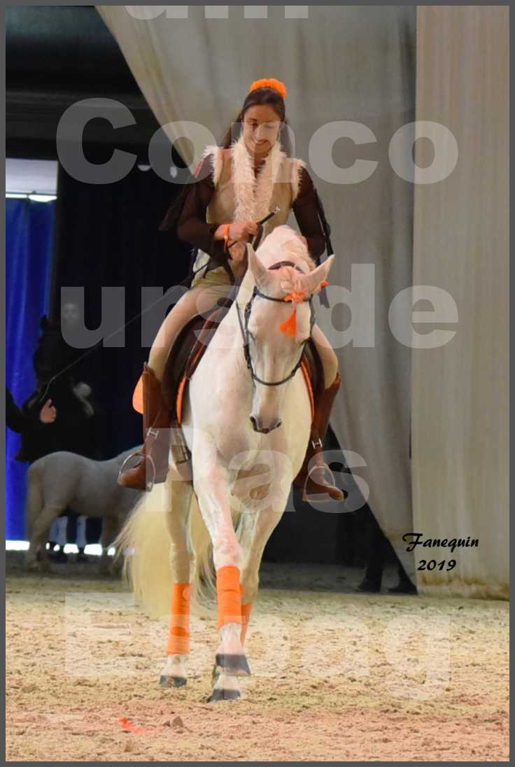 Cheval Passion 2019 - Concours de Pas Espagnol - Étalon "ZIDANE" - 56