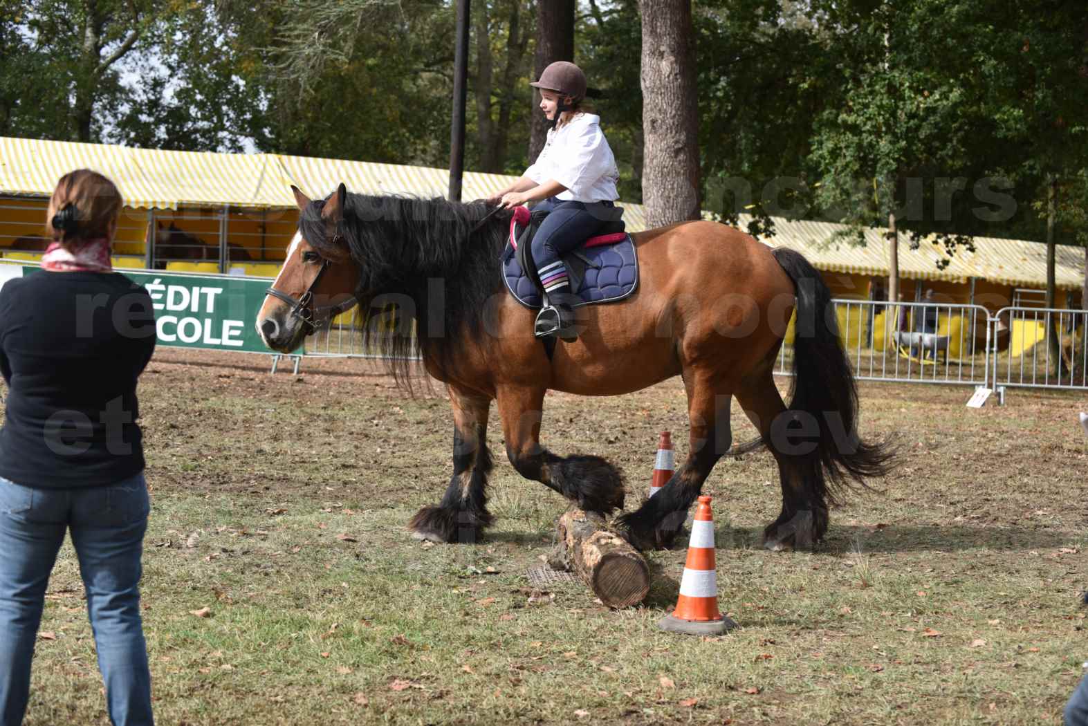 Concours Label Cheval Loisir 2017 - Cheval monté - QUIQUINOU - 06