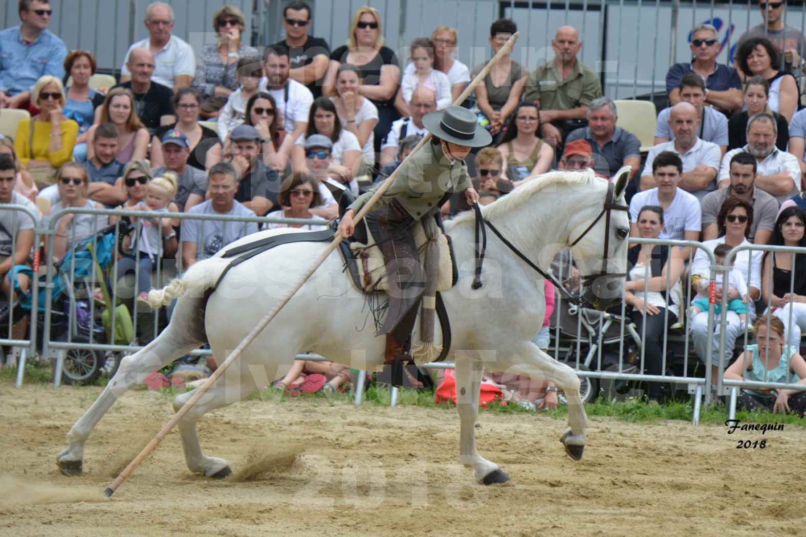 Spectacle Équestre lors du Salon Chasse Pêche Nature  le 3 juin 2018 à Saint Gély du Fesc - ALMA VAQUERA - 08