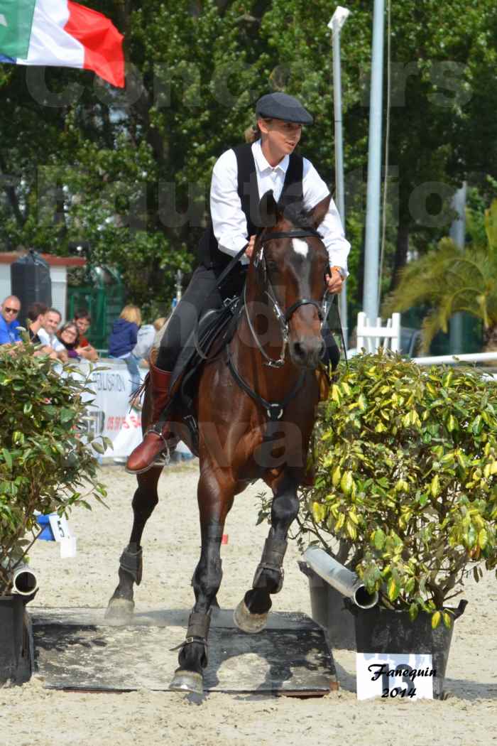 Salon Equitaine de Bordeaux en 2014 - concours Equitation de travail - Épreuve de Maniabilité chronométré - E - 12