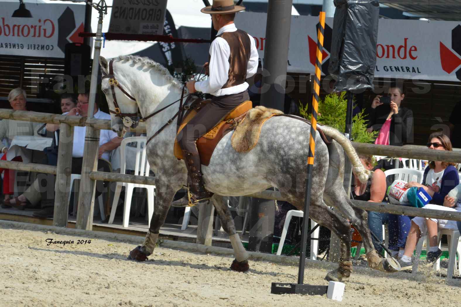 Salon Equitaine de Bordeaux en 2014 - concours Equitation de travail - Épreuve de Maniabilité chronométré - P - 19