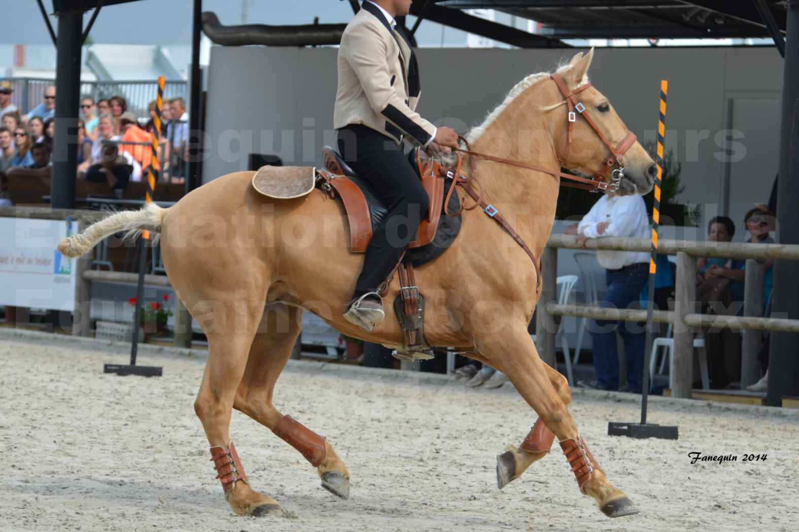 Salon Equitaine de Bordeaux en 2014 - concours Equitation de travail - Épreuve de Maniabilité chronométré - D - 01