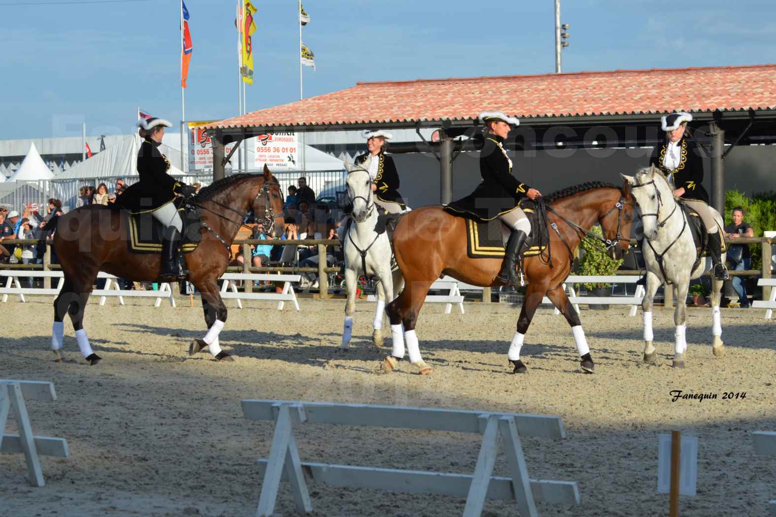Carrousel de cavalières Equitation de travail lors du salon "Equitaine" à Bordeaux en 2014 - 07